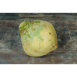 Rutabaga bio