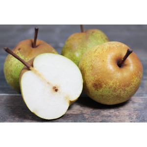 Poire passe crassane