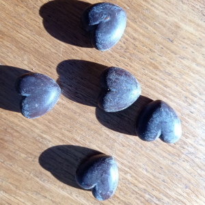 Petits coeurs miel/main de bouddha