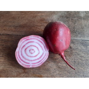 Betterave chioggia