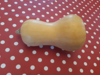 Courge butternut