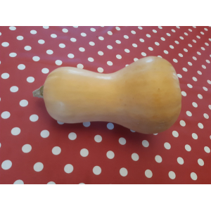 Courge butternut