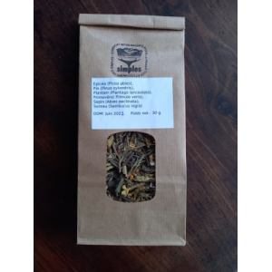 Tisane épicéa, pin, plantain, sapin..