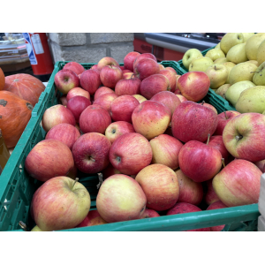 Pommes bio « pinova »