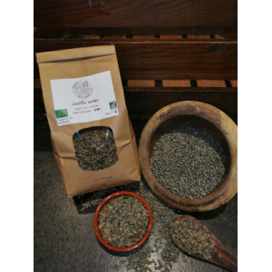 Lentilles vertes bio