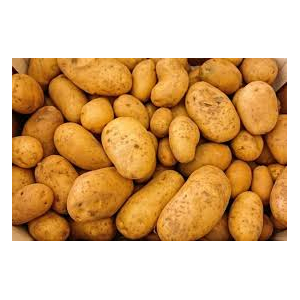 Pomme de terre chair ferme