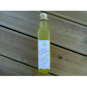 Vinaigre gastronomique kéfir gingembre curcum