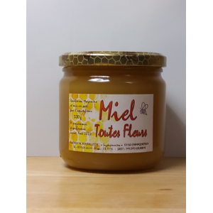 Miel toutes fleurs 500g