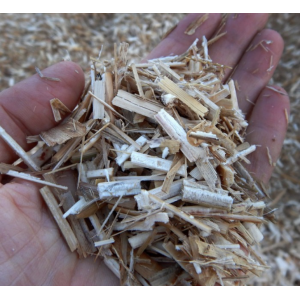 Miscanthus paillage de litieres