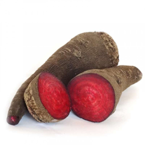 Betterave rouge crapaudine