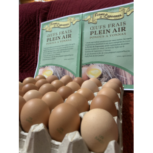 Plaquette de 30 œufs taille large