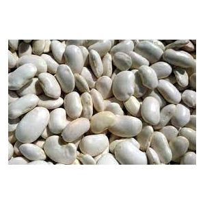 Haricot sec : lingot blanc