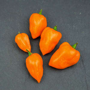 Piment habanero