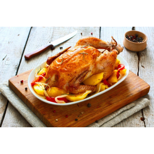 Poulet fermier pac élevé en plein air