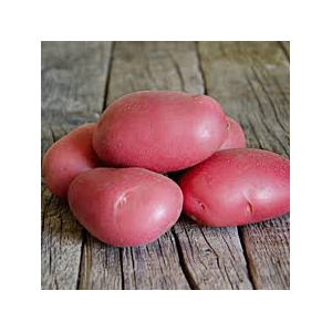 Pomme de terre dalida