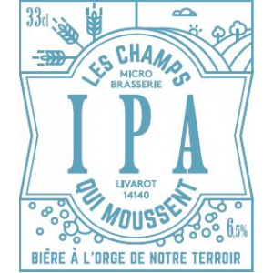 Bière artisanale bio - ipa 75cl