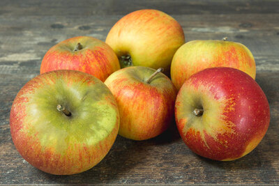 Pomme reine des reinettes