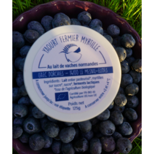 Le yaourt sur lit de myrtilles 125g