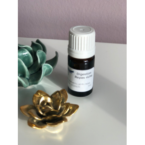 Digestion  - repas festif