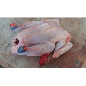 Poulet fermier prêt à cuire