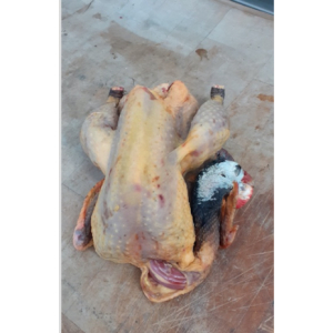 Pintade prêt à cuire