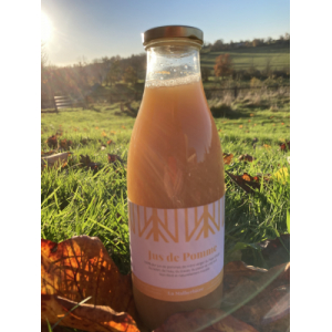 Jus de pommes non-filtré - bouteille 1 litre