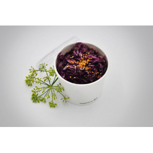 Salade de chou rouge à la japonaise