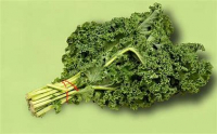 Chou kale frais bouquet 300 g