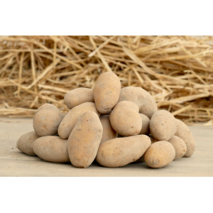 Pommes de terre chair ferme 10kg