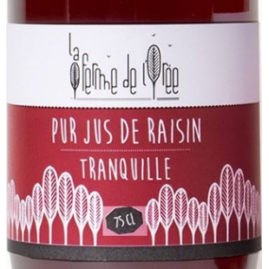 Huile de noisette 25 cl - 0.25 L - Les Vergers Du Marquis 