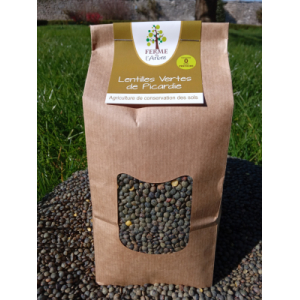 Lentilles vertes