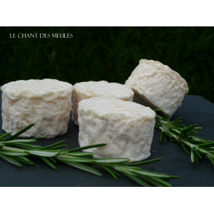 Crottin demi-affiné au lait cru