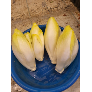 Endives