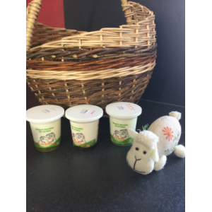 Yaourt fermier de brebis sur lit de framboise