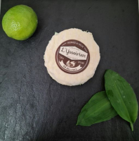 Yssoirien à l'ail des ours