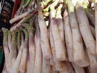 Asperge blanche