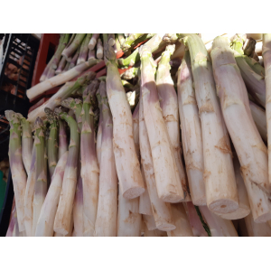 Asperge blanche
