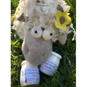 Yaourts de brebis aromatisés myrtille