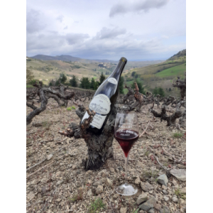 Terroir montrichard 2018 médaille d'argent