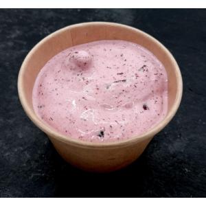 Sorbet plein fruit myrtilles - pot 10cl