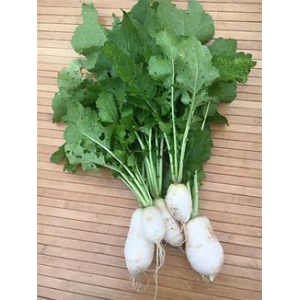 Navet vertu des marteaux