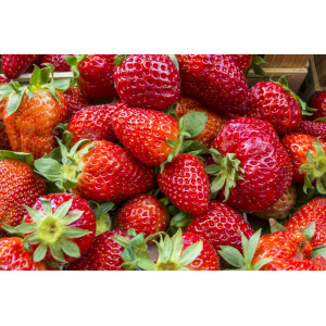 Fraises - variétés mélangées