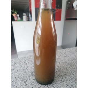 Kombucha à la spiruline