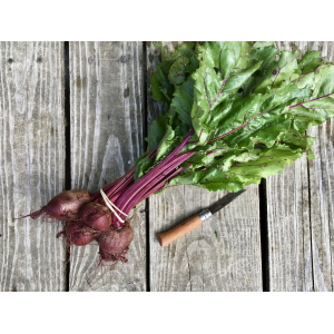 Betterave rouge botte