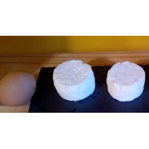 Frais : 2 crottins de chèvre, bio