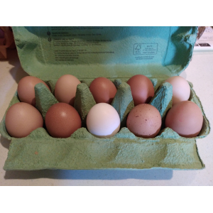 10 'bébé' œufs de poules bio et plein air