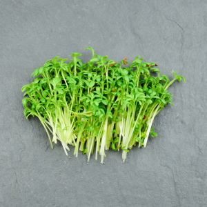 Micro-pousses de cresson