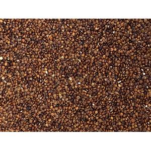 Quinoa rouge