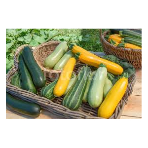 Courgette 1 kg