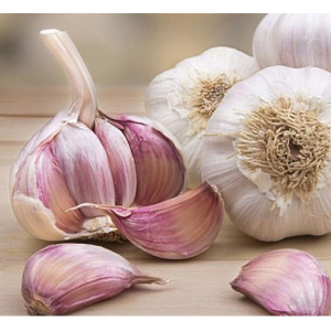 Ail violet nouveau-250g